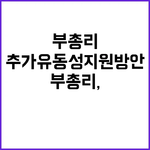 경제부총리, 추가 유동성 지원방안 소식에 주목!