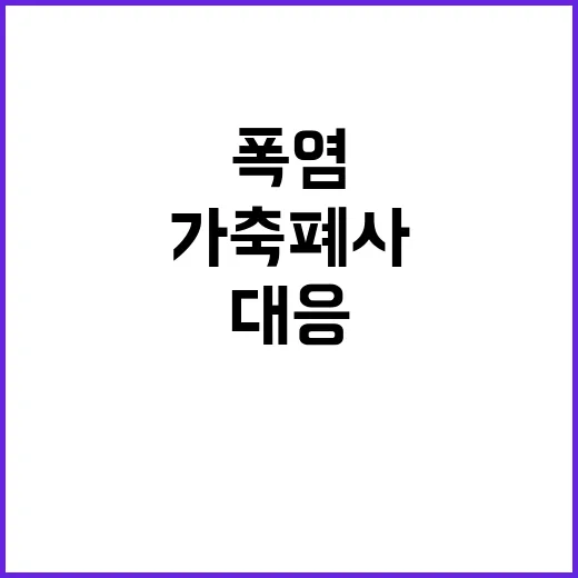 폭염 대응, 가축 …