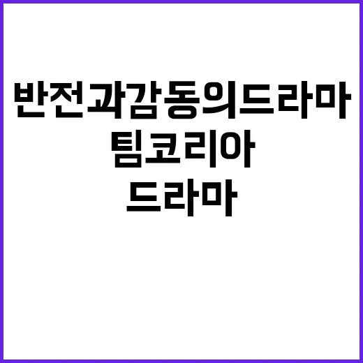 팀코리아, 반전과 …