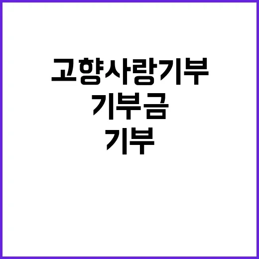 고향사랑기부금, 문자로 쉽게 기부 가능!