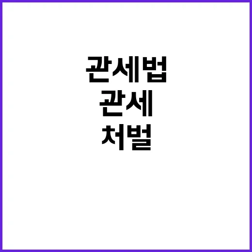 미배송 물품 재판매…