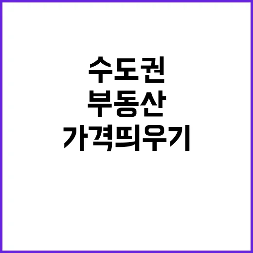 부동산 가격 띄우기 수도권 불법행위 대규모 조사!