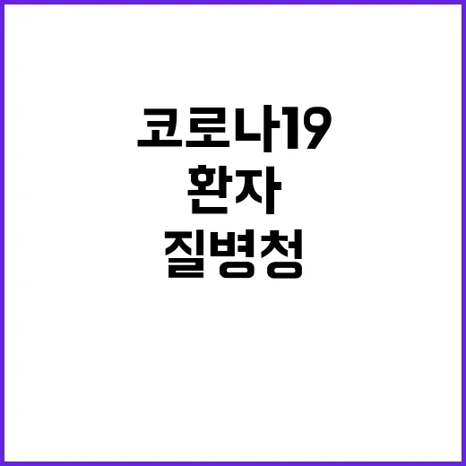 코로나19 질병청 …