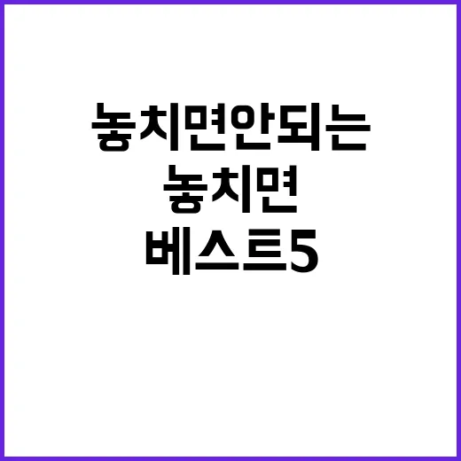 공연 이번 주 놓치면 안 되는 베스트 5!