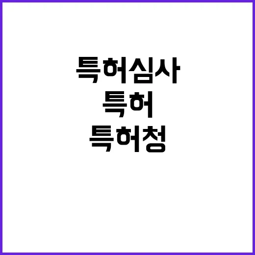 특허청 특허 심사 …