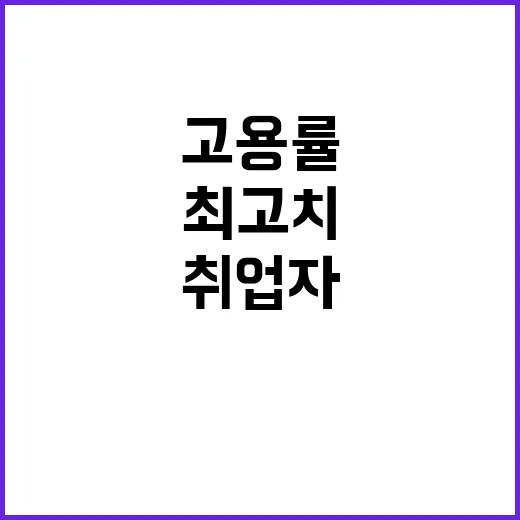 고용률 최고치 달성…