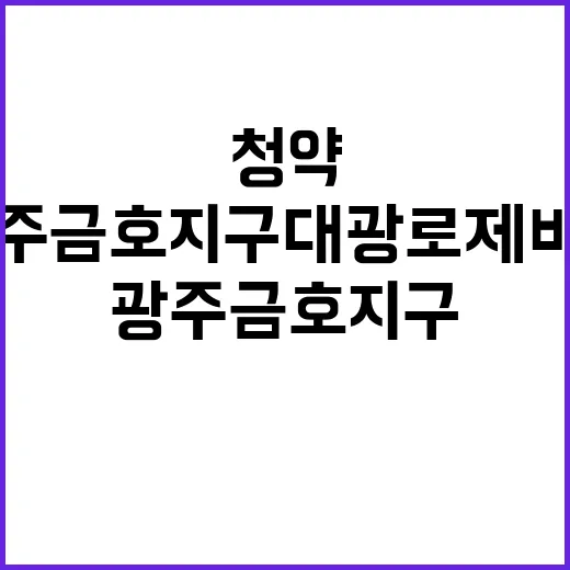 광주 금호지구 대광로제비앙 청약 일정과 분양가 공개!