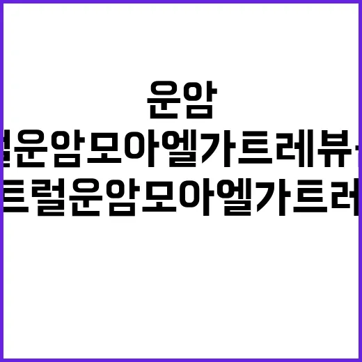 센트럴운암 모아엘가 트레뷰 분양가와 청약 일정 공개!