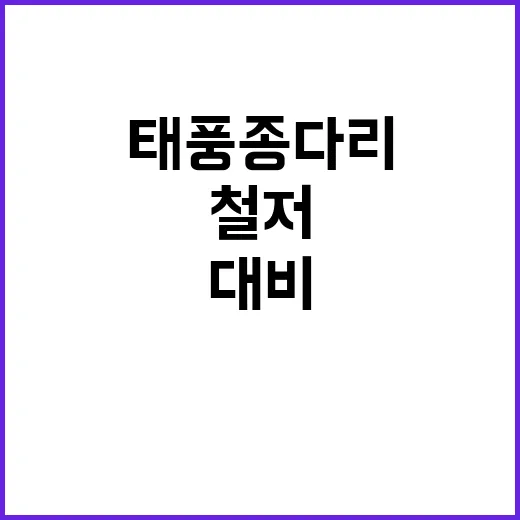 태풍 종다리 위기 …