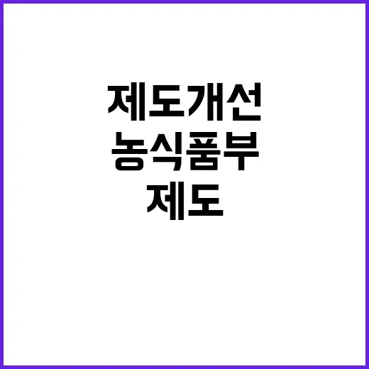 벌꿀 보호 계획 농식품부의 새로운 제도 개선!