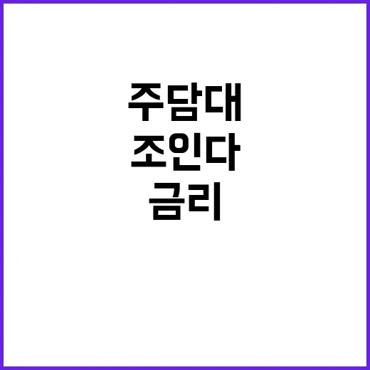 주담대 조인다 수도…