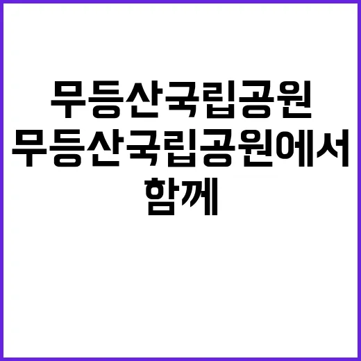 국립공원공단 비정규…