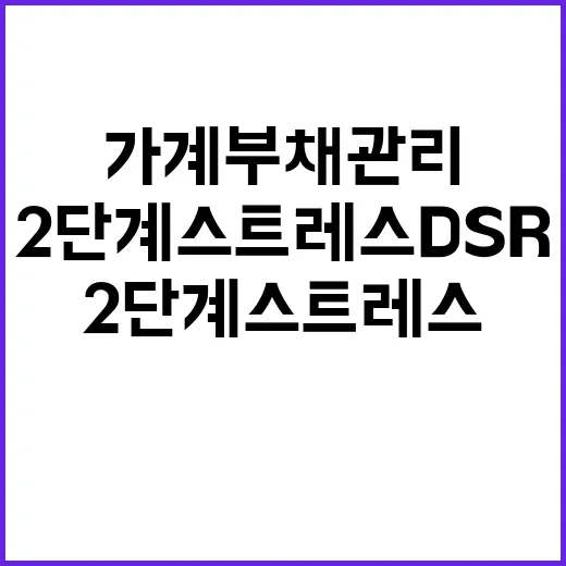 2단계 스트레스 DSR 가계부채 관리의 새로운 전환!