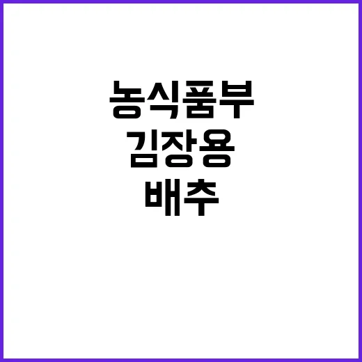 “금 배추 우려? …