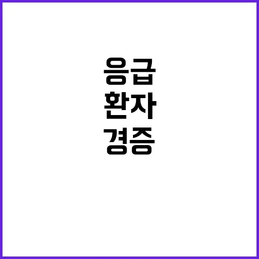 “경증환자 응급의료…