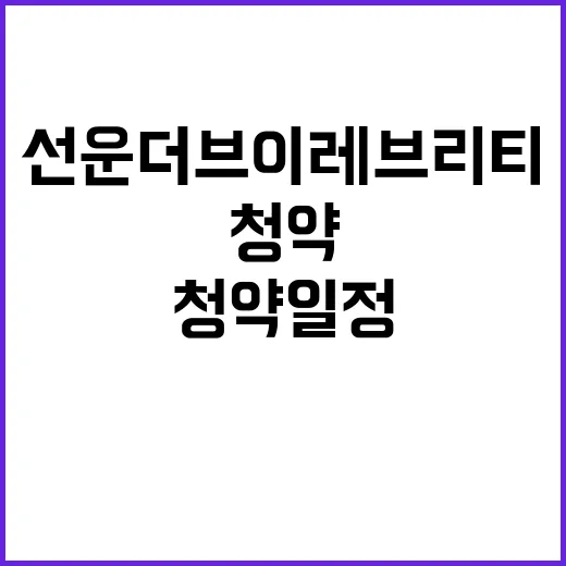 선운 더브이 레브리…