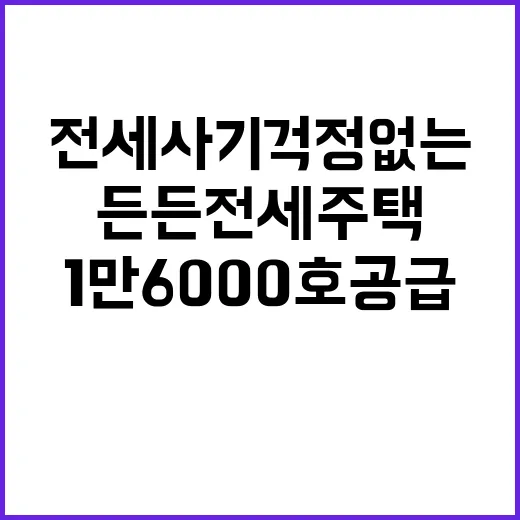 든든전세주택 전세사…