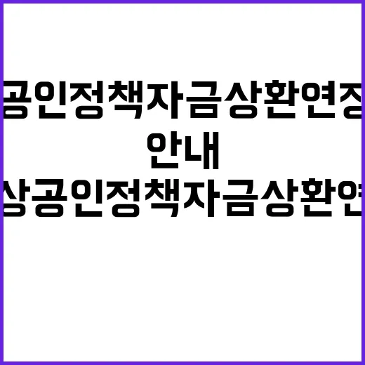 소상공인 정책자금 …