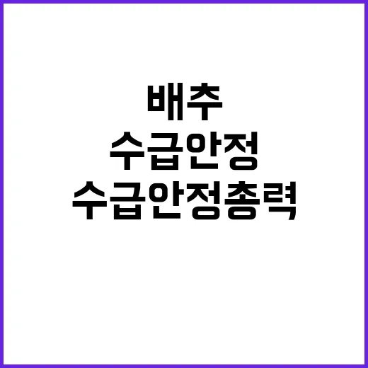 배추 추가 공급으로…