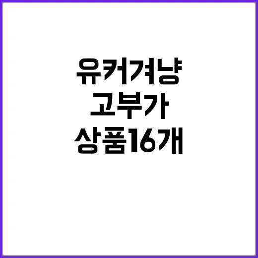 유커 겨냥 고부가 …