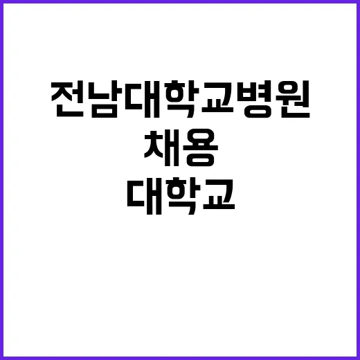 전남대학교병원 정규…