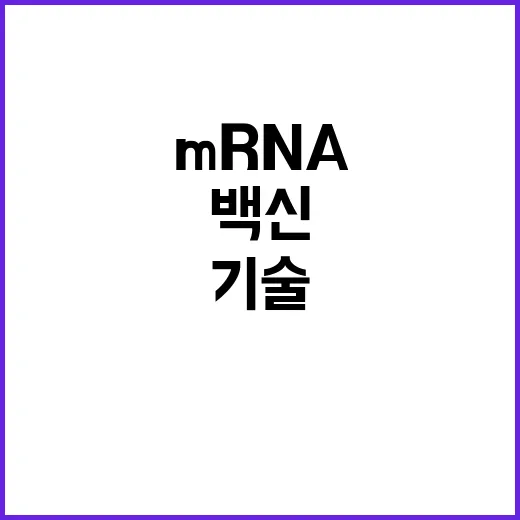 mRNA 백신 양자…