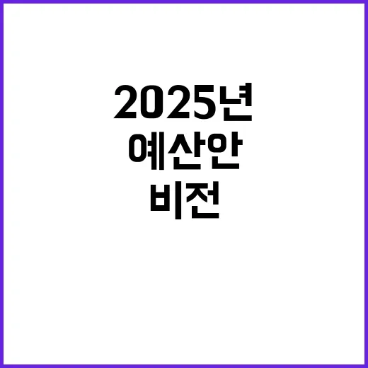 2025년 예산안 국가 미래와 비전 공개!