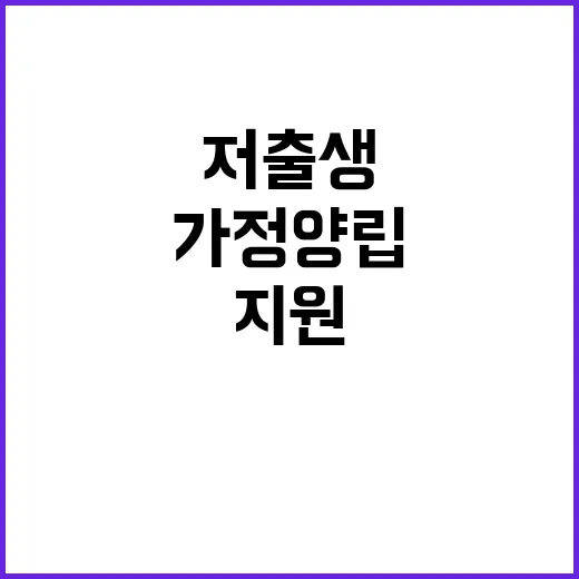 저출생 지원 청년의…