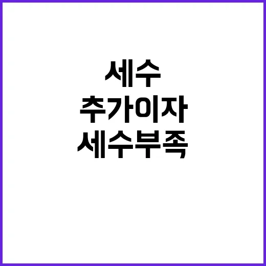 세수 부족 추가 이자부담 없다! 진짜 이유는?