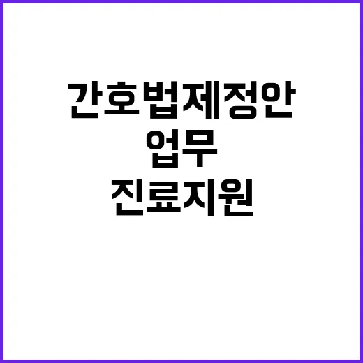 간호법 제정안 간호…