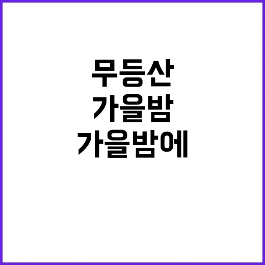 반딧불이 가을밤에 무등산에서 만나는 특별한 경험!