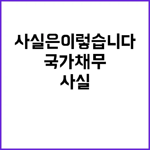 국가채무 사실은 이…