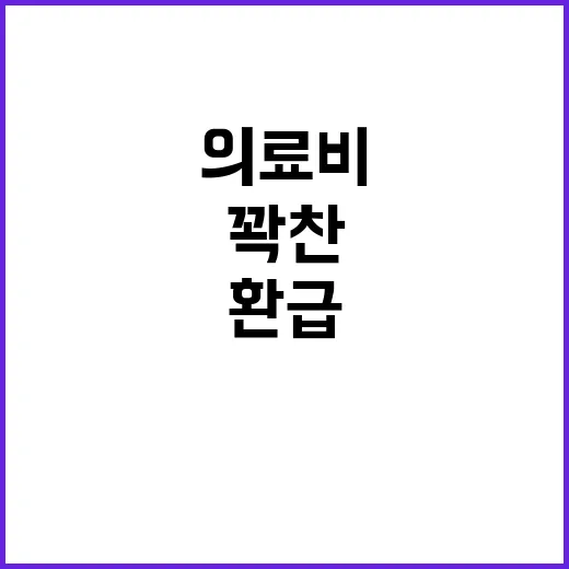 의료비 환급 2조 6278억 원 꽉 찬 규모!