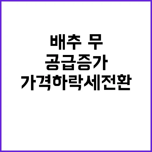 농식품부 “배추·무 공급 증가 가격 하락세 전환!”