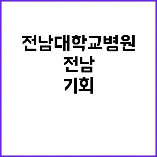 전남대학교병원 정규…