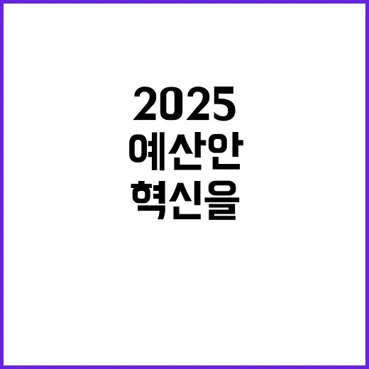 2025 예산안 살림살이 혁신을 주목하라!