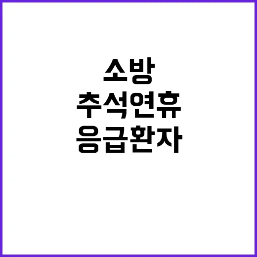 소방헬기 추석 연휴 응급환자 골든타임 확보!