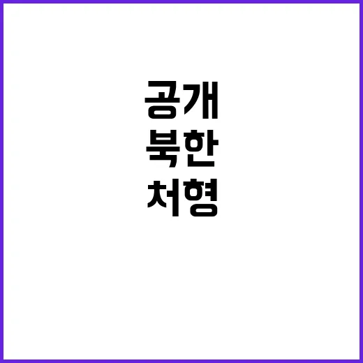 북한 공개처형 문체…