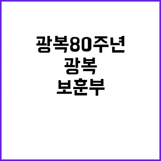 광복 80주년 보훈부의 결정 배경 공개!