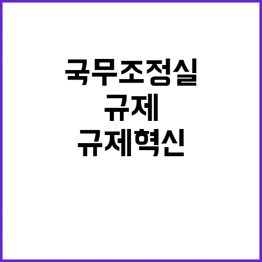 규제혁신 국무조정실의 새로운 방향과 전략 공개!