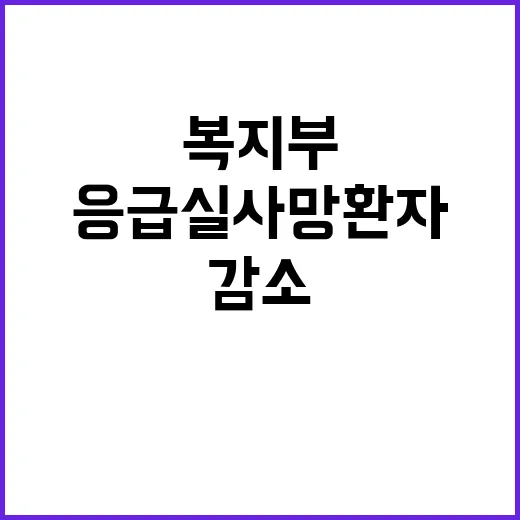 응급실 사망환자 수…