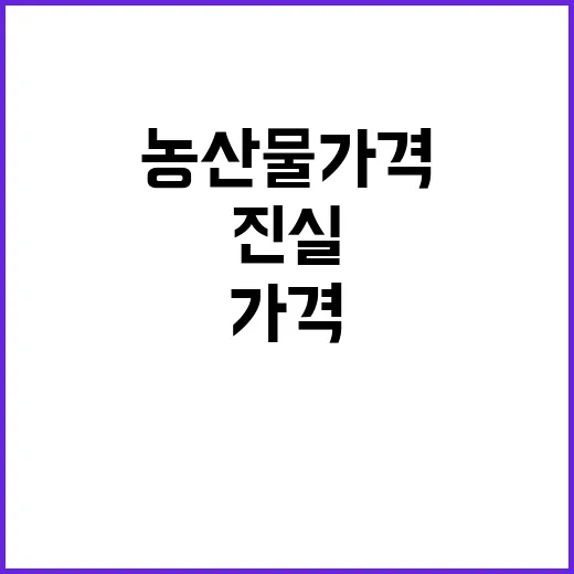 농산물 가격 추석 …