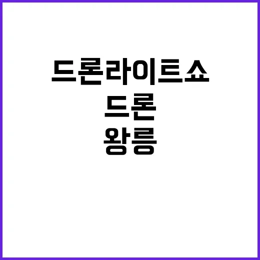 ‘드론 라이트쇼’ …