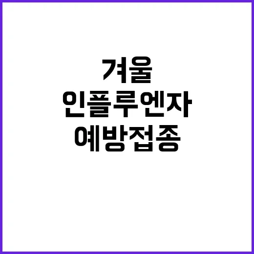 인플루엔자 예방접종…