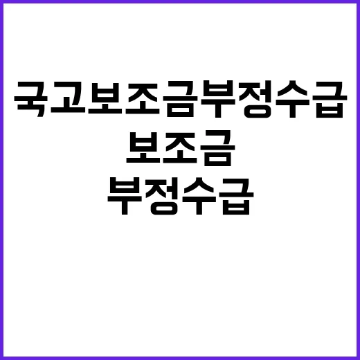 국고보조금 부정수급…