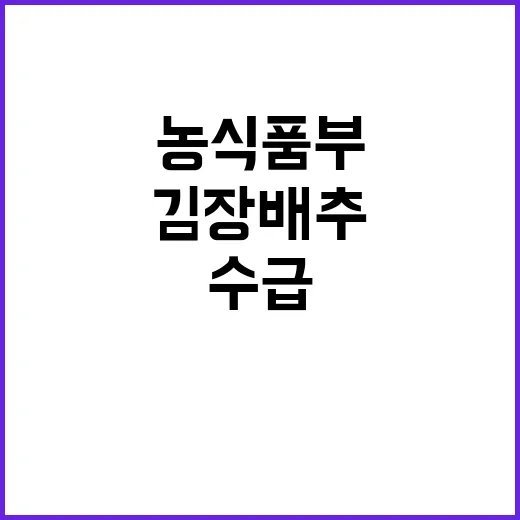 가정용 김장배추 수…