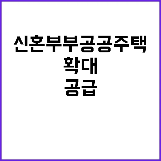 신혼부부 공공주택 …