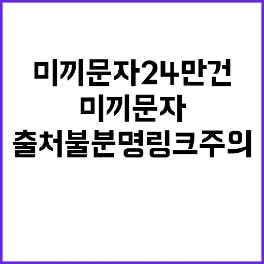 미끼문자 24만 건…