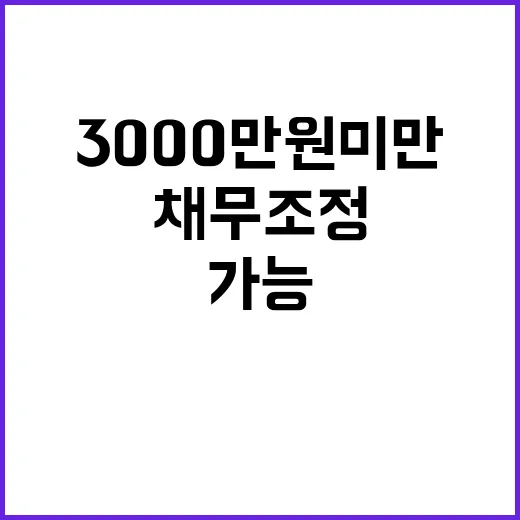 채무조정 내일부터 3000만 원 미만 가능!