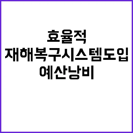 효율적 재해복구시스템 도입 예산낭비 방지 비밀!